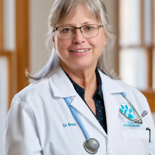 Dr. Maria Bruck of Dublin Animal Hospital